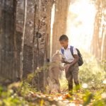 Диплом купить ростов image_1111-217.jpg